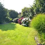 Dünenrose