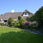 Dünenrose