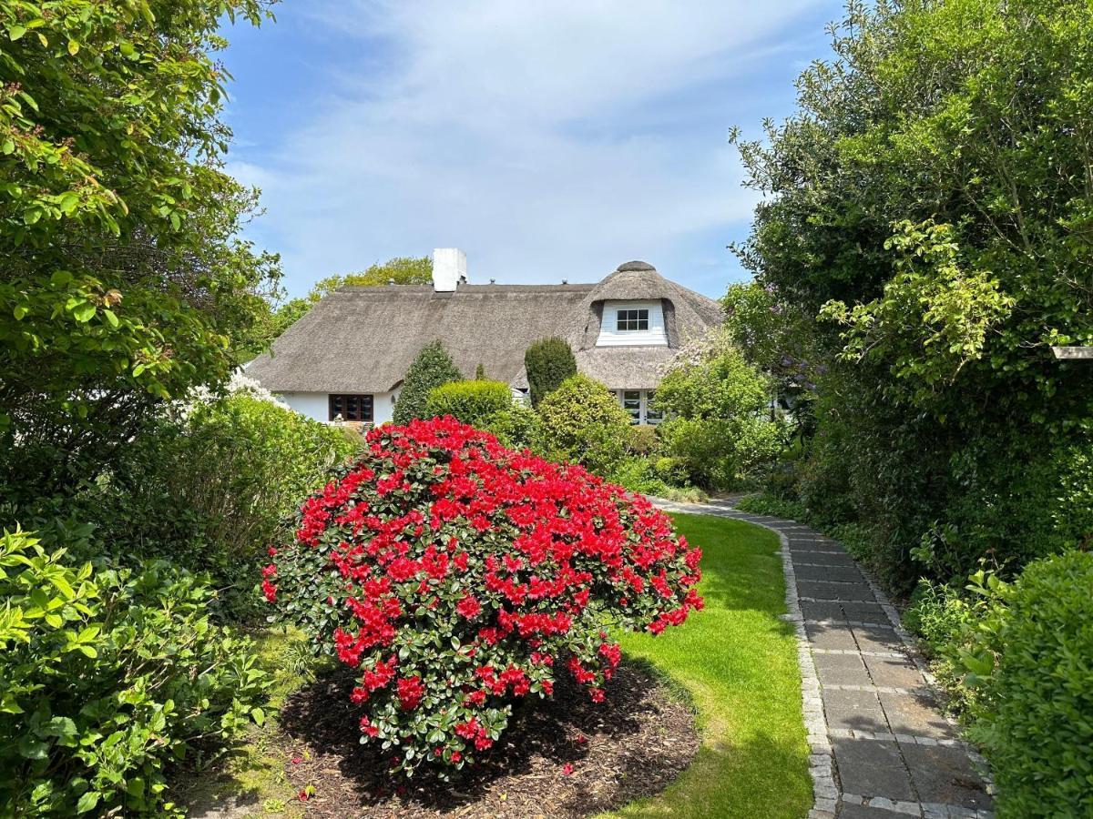 Dünenrose * Rantum (Sylt)